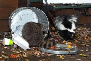 320x420-towidth-75-916_43d2f9f9d48d